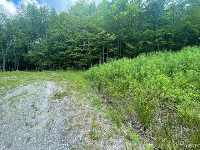 $159,900 | 2010 Thermopylae Drive, Virgil, NY 13045