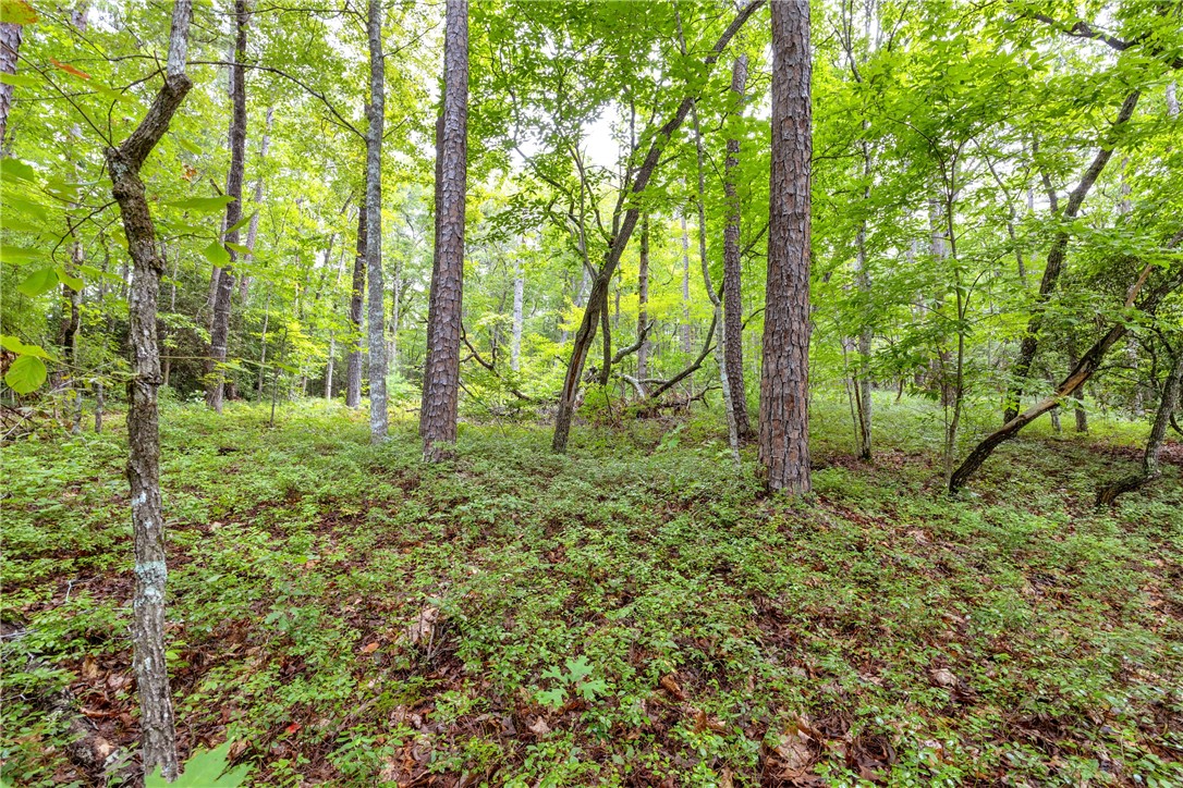 472 T U 1 Walhalla, SC 29691 - Photo 31 of 49 Gallery Image 31