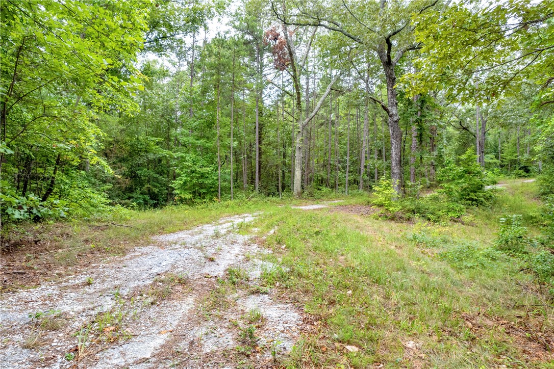 472 T U 1 Walhalla, SC 29691 - Photo 35 of 49 Gallery Image 35