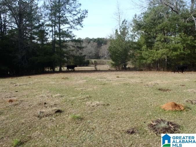 6510 Glovers Ferry Road Alpine, AL 35014 - Photo 20 of 25