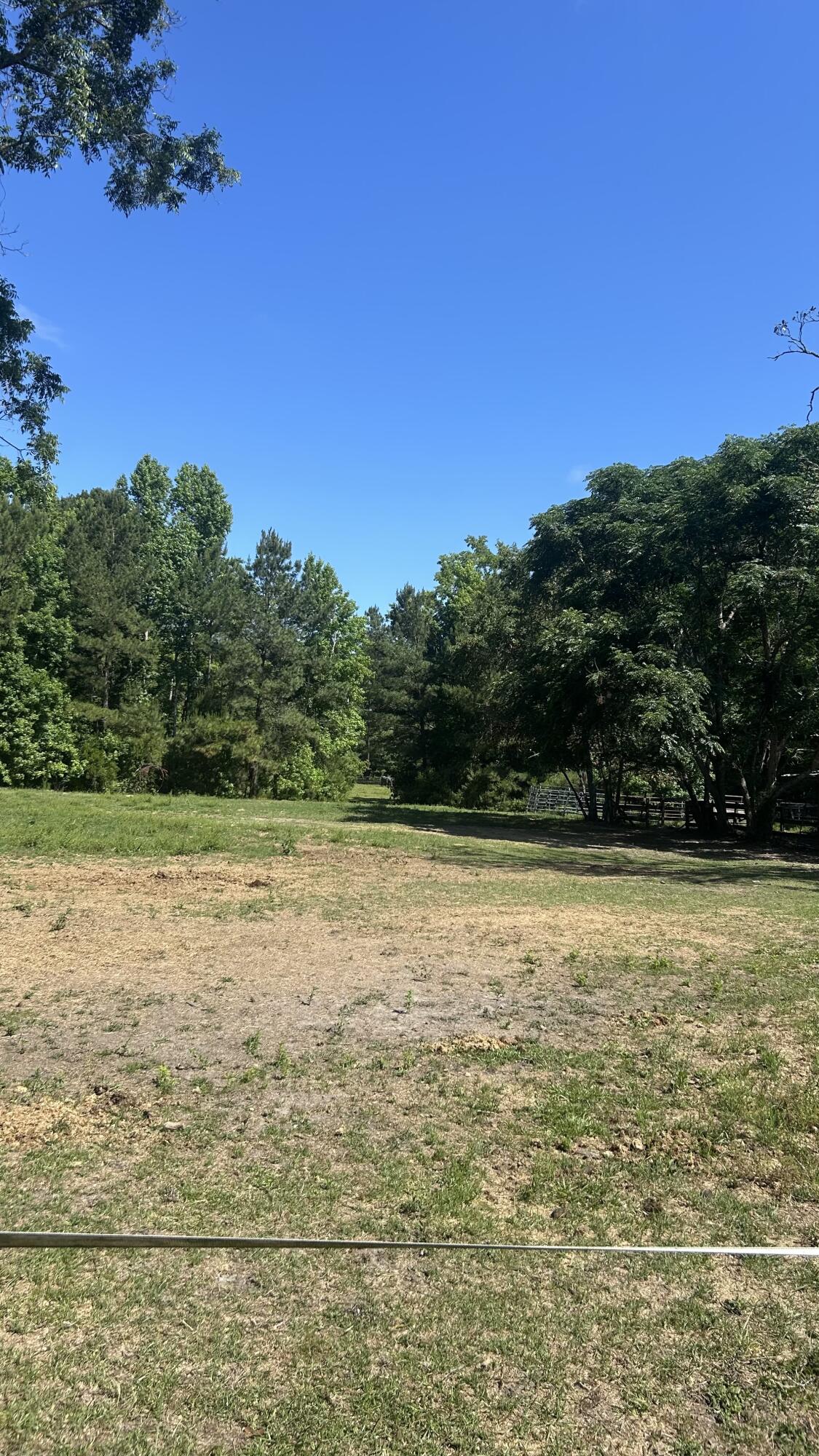 0 Pleasant Grove Road Walterboro, SC 29488 - Photo 6 of 6