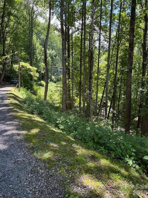 Lot 49 Rocky Ridge Road, Unit 49 Sylva, NC 28779 - Photo 5 of 8 Gallery Image 5