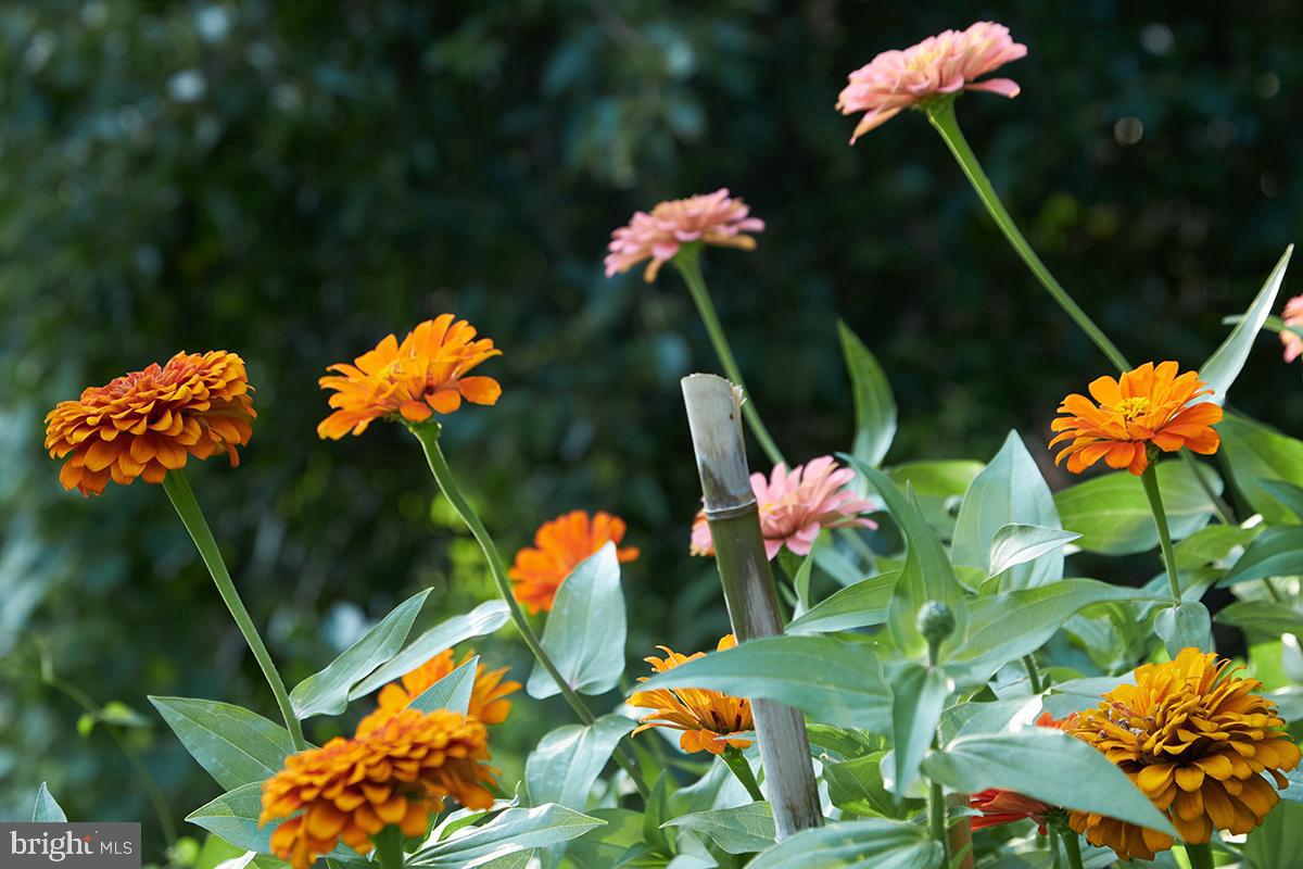 2853 Ontario Road Northwest, Unit 507 Washington, DC 20009 - Photo 41 of 47 Gallery Image 41