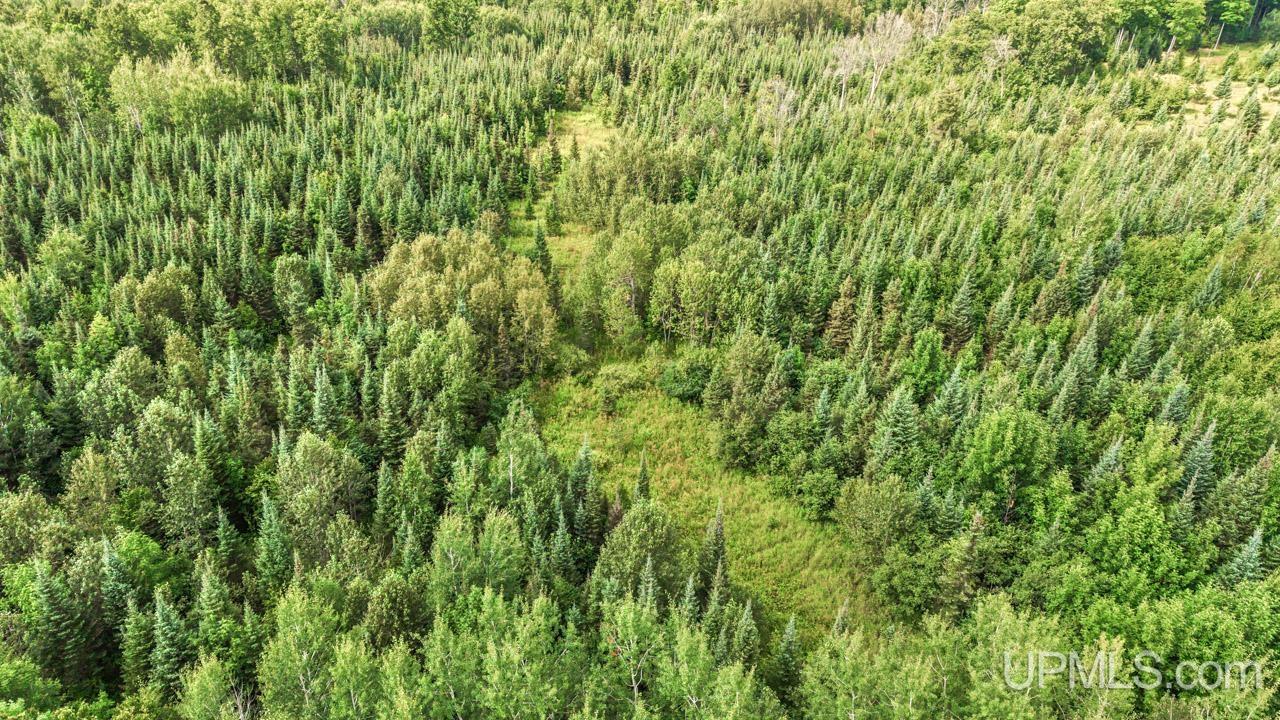 Tbd Tbd Bartels Road Felch, MI 49831 - Photo 7 of 16 Gallery Image 7