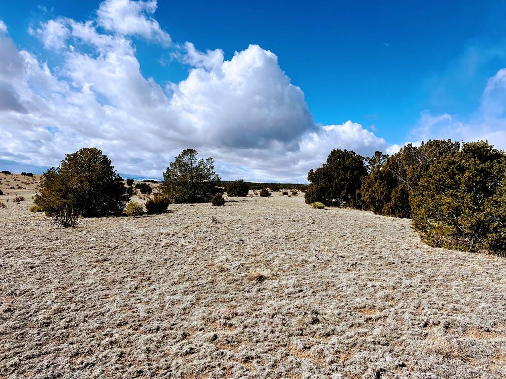0 Twin Lakes Road Walsenburg, CO 81089 - Photo 12 of 13