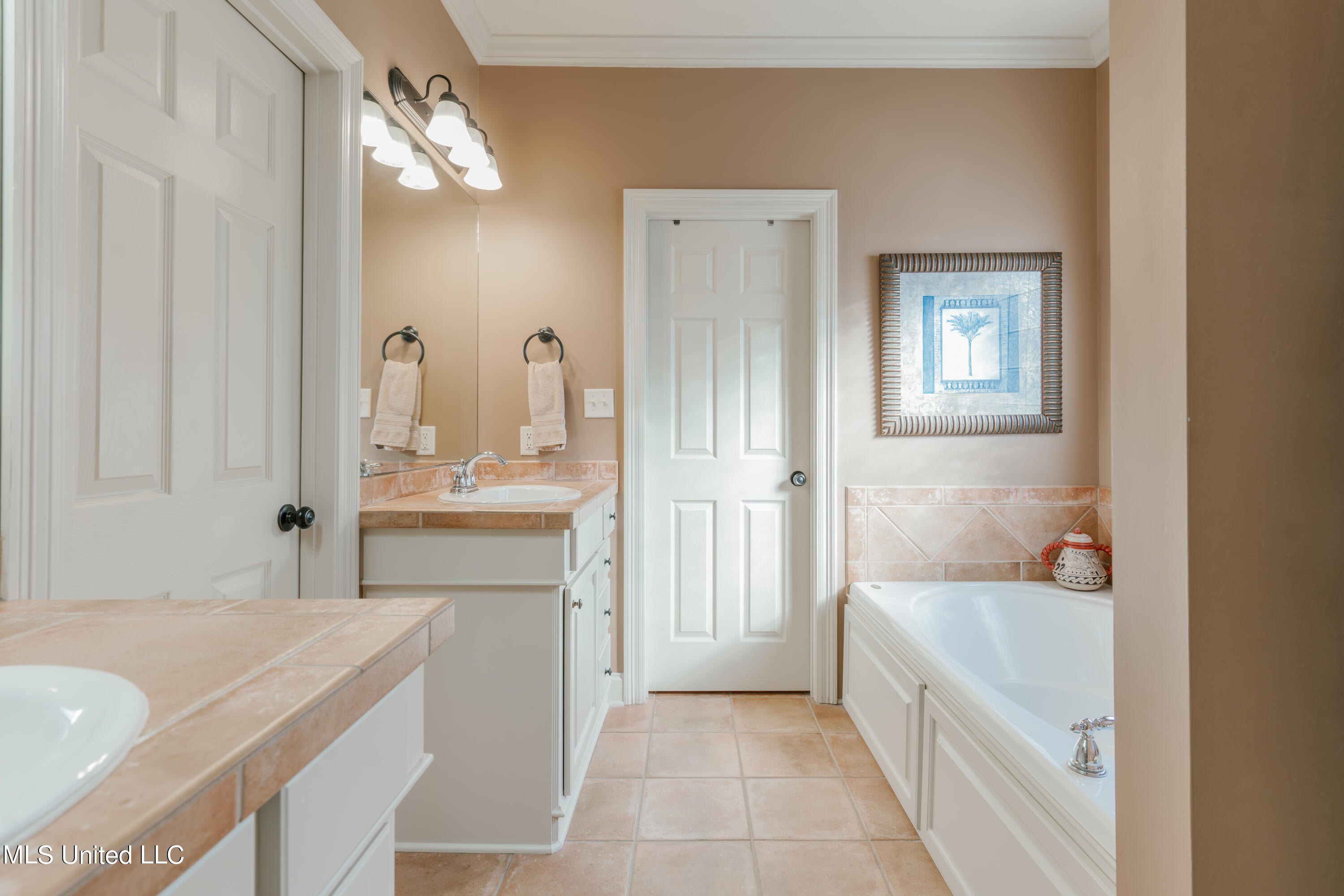163 Baileys Ridge Circle Clinton, MS 39056 - Photo 34 of 55 34-PrimaryBathroom