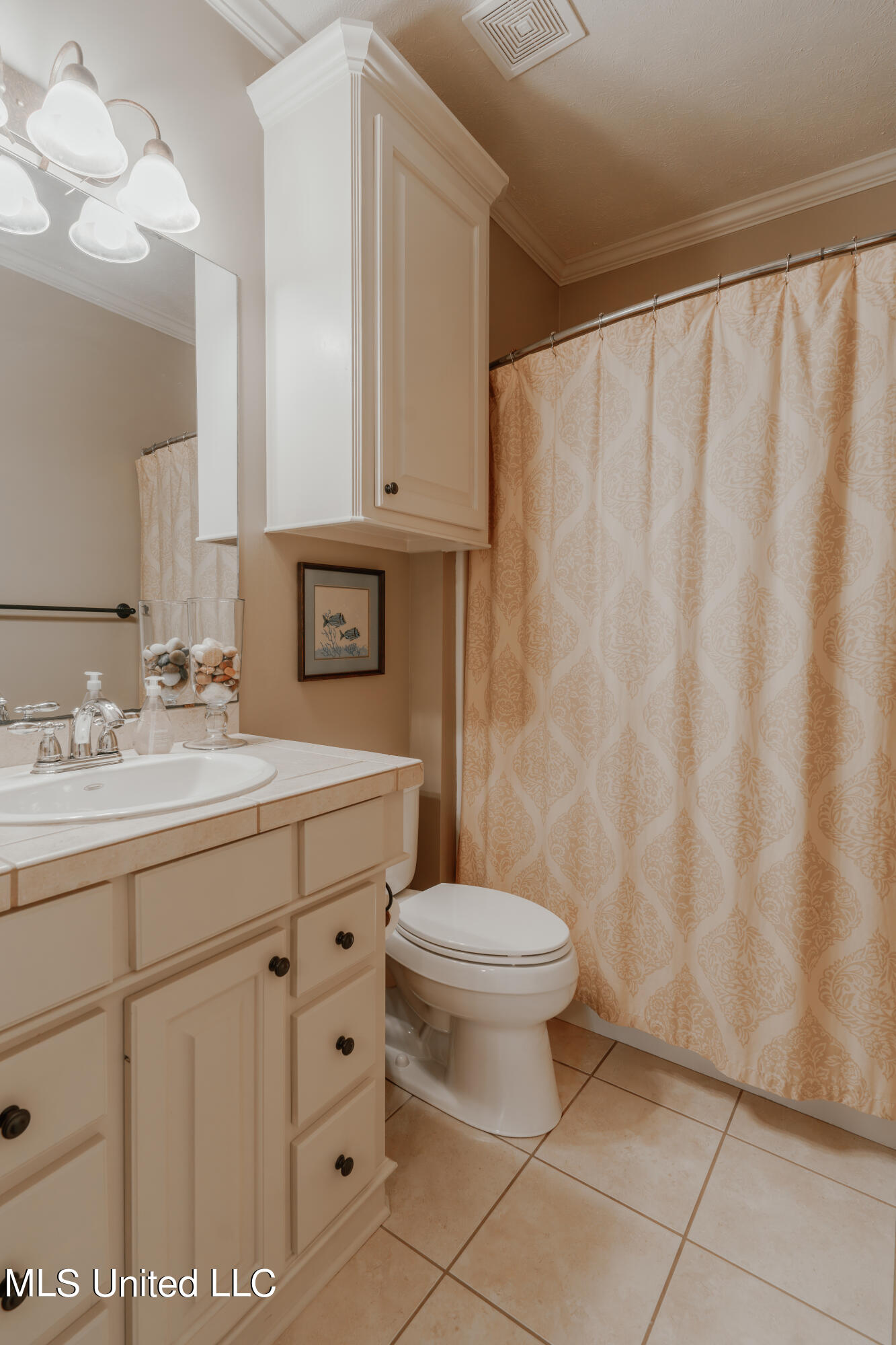 163 Baileys Ridge Circle Clinton, MS 39056 - Photo 44 of 55 46-HallBathroom