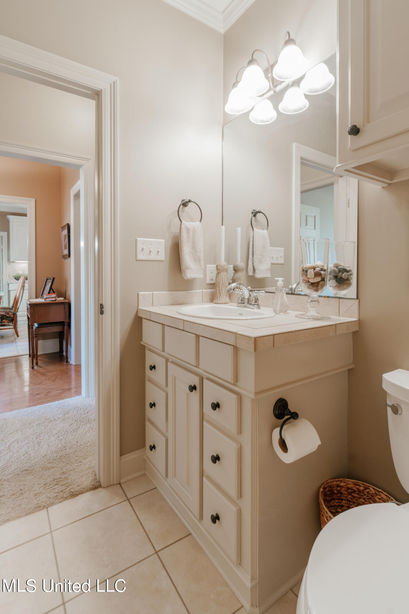 163 Baileys Ridge Circle Clinton, MS 39056 - Photo 45 of 55 47-HallBathroom