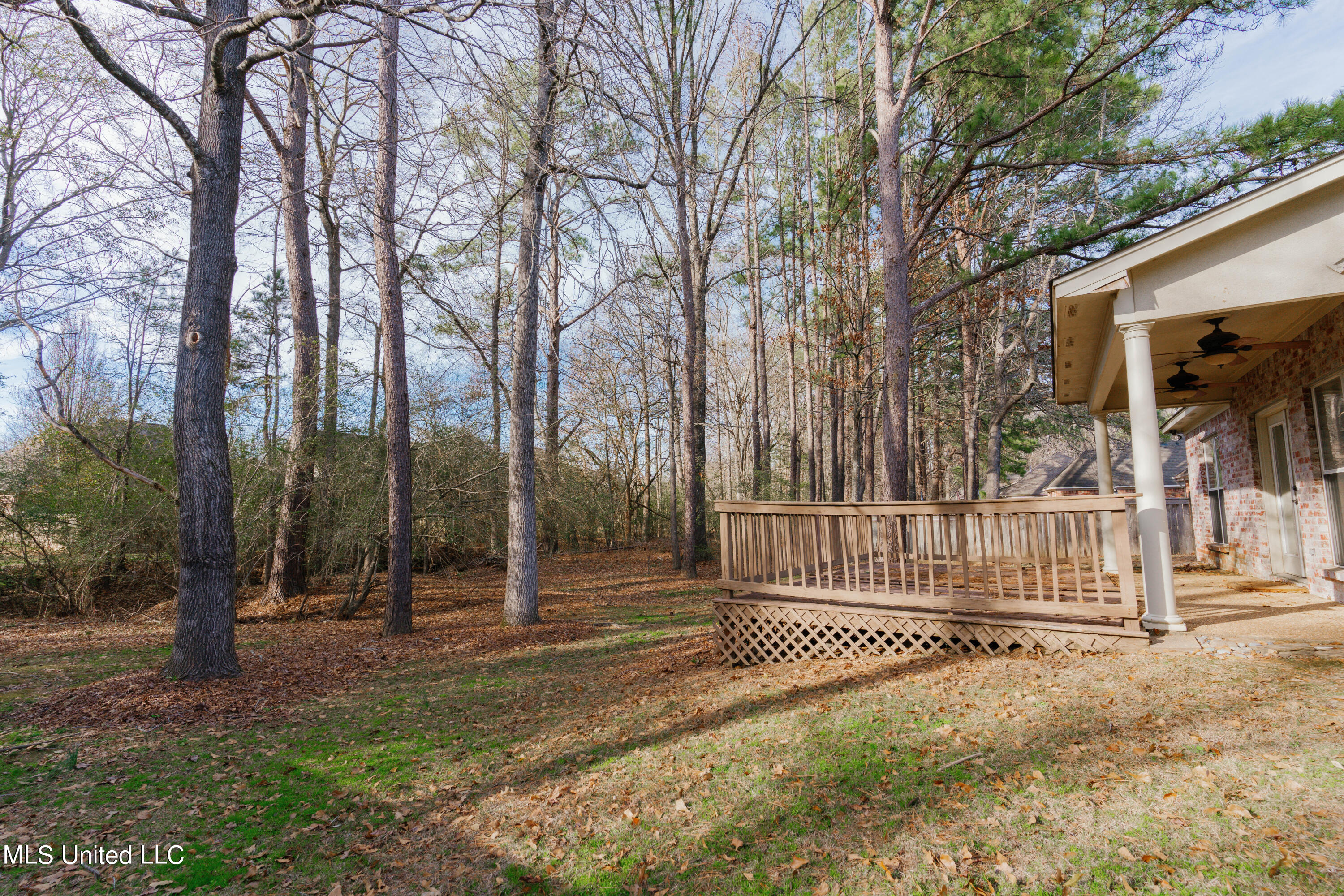 163 Baileys Ridge Circle Clinton, MS 39056 - Photo 49 of 55 54-Back