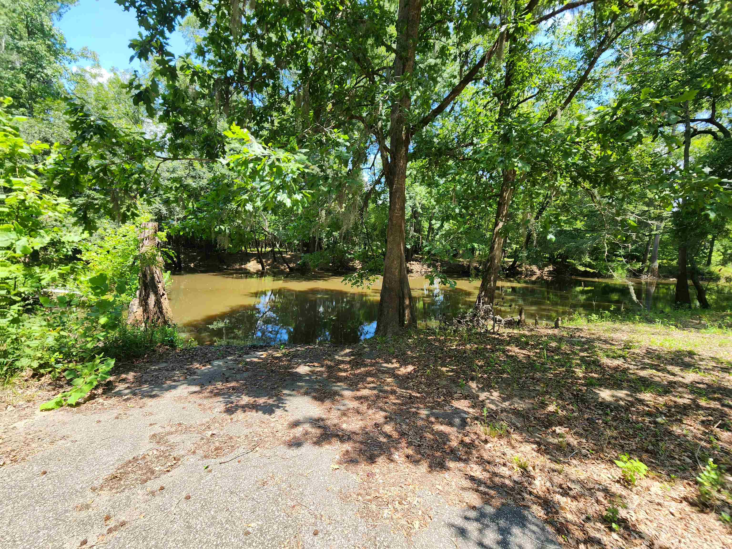 380 Bauer Trail Hemingway, SC 29554 - Photo 13 of 17 Gallery Image 13