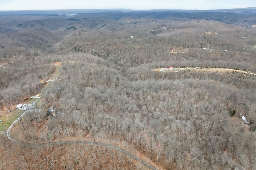 5 Benton Tidwell Road Hilham, TN 38568 - Photo 1 of 7 a view of a dry yard covered with trees