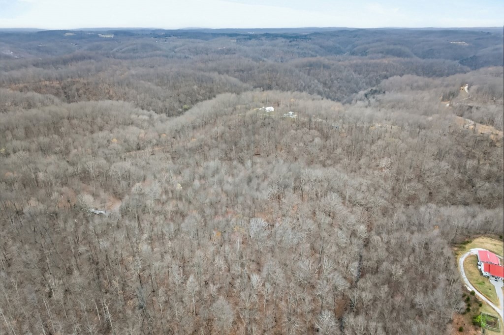 5 Benton Tidwell Road Hilham, TN 38568 - Photo 13 of 15 a view of a dry field with trees in the background
