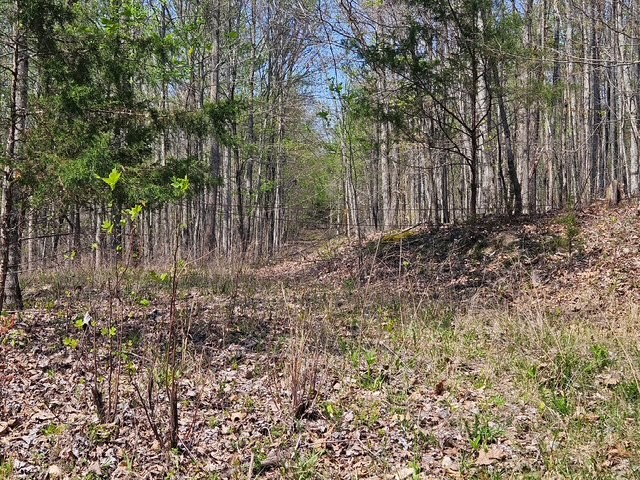 5 Benton Tidwell Road Hilham, TN 38568 - Photo 2 of 15 a view of a yard with trees