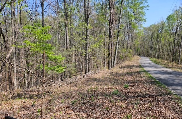 5 Benton Tidwell Road Hilham, TN 38568 - Photo 3 of 15 a backyard of a house with lots of green space