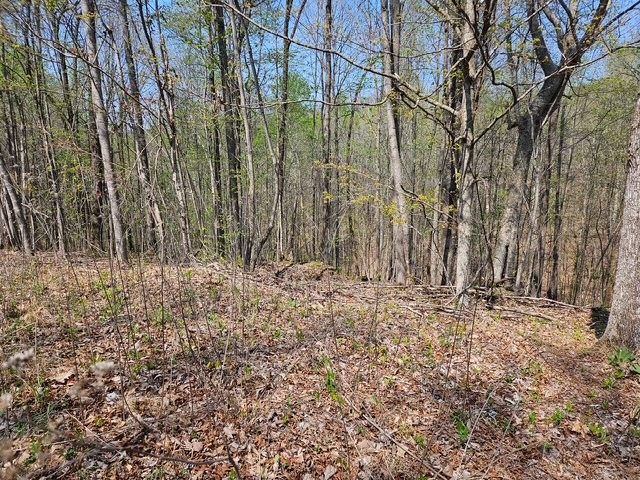 5 Benton Tidwell Road Hilham, TN 38568 - Photo 4 of 15 a view of a backyard of the house