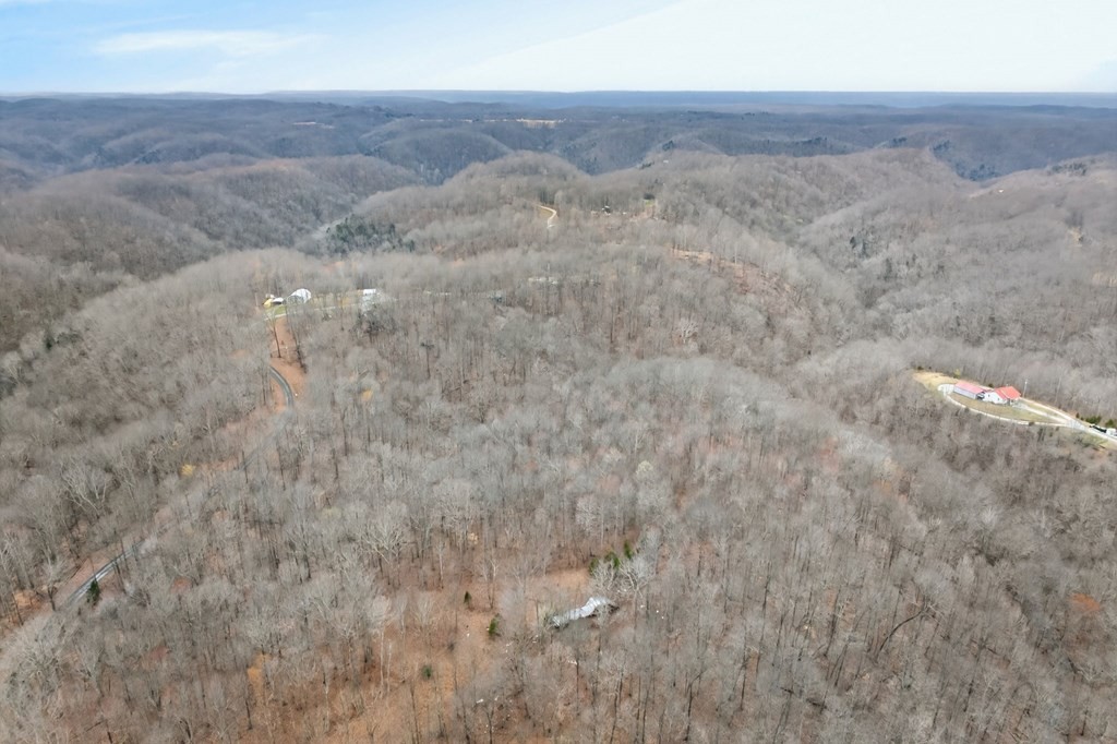 5 Benton Tidwell Road Hilham, TN 38568 - Photo 4 of 7 a view of a dry field with trees in the background