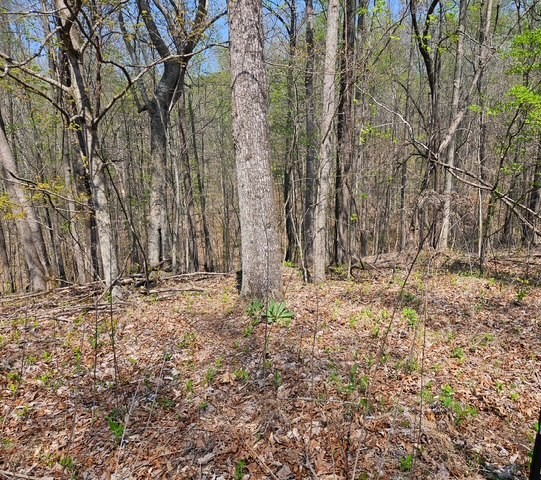 5 Benton Tidwell Road Hilham, TN 38568 - Photo 5 of 15 a backyard of a house with lots of green space