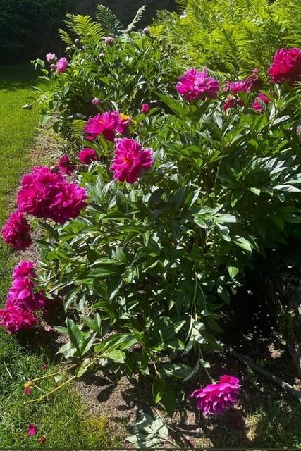 15 Watson Street Sewickley, PA 15143 - Photo 40 of 43