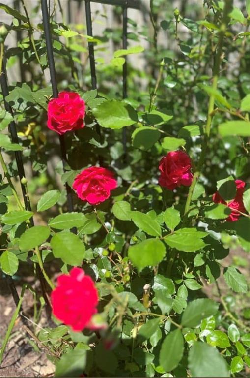 15 Watson Street Sewickley, PA 15143 - Photo 42 of 43