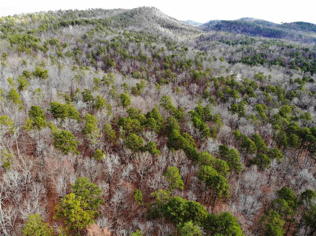 3428 Horseleg Creek Road Southwest Rome, GA 30165 - Photo 28 of 42