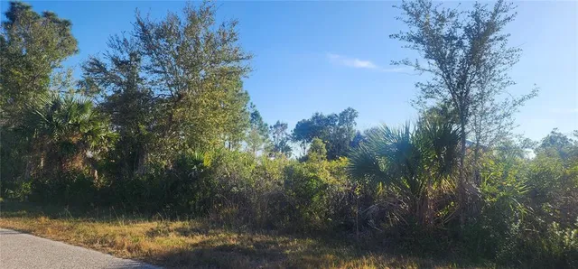 a view of a park that has large trees