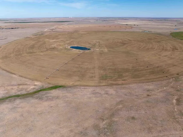 a view of beach and ocean