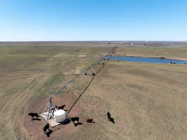 $3,658,500 | 813 Ac, Follett, TX 79034