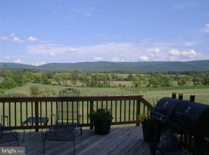 673 Quarry Road Berryville, VA 22611 - Photo 23 of 30 Exterior (Rear)