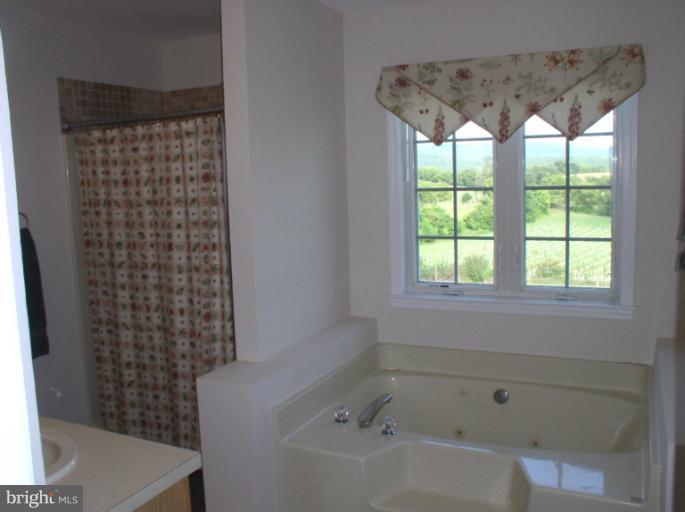 673 Quarry Road Berryville, VA 22611 - Photo 25 of 30 Bath (Master)