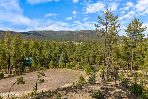 $55,000 | 0 Cr 2193 Alpine Az 85920, Alpine, AZ 85920