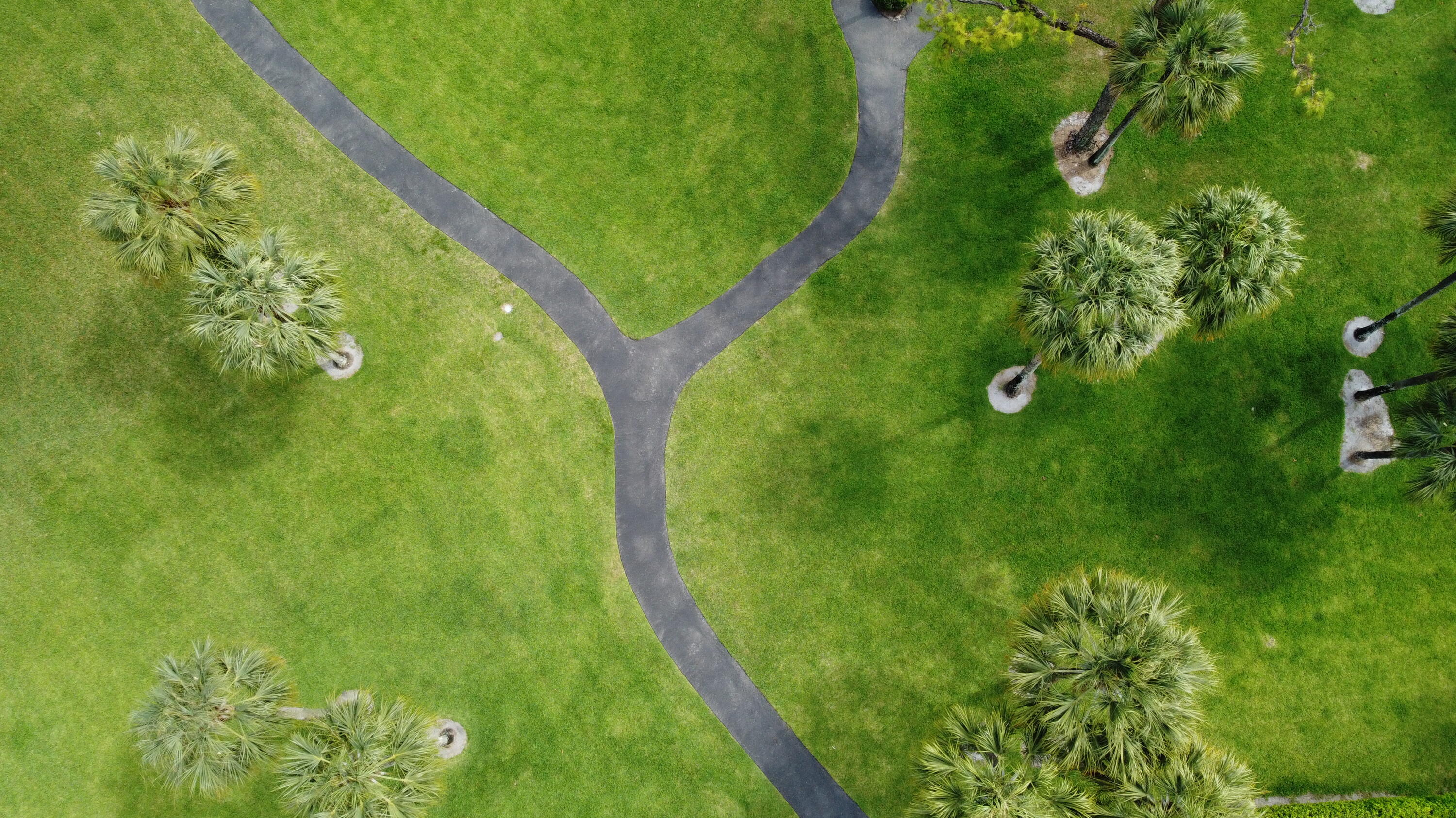 297 Deer Creek Boulevard, Unit 1305 Deerfield Beach, FL 33442 - Photo 29 of 51 a view of a yard from a balcony