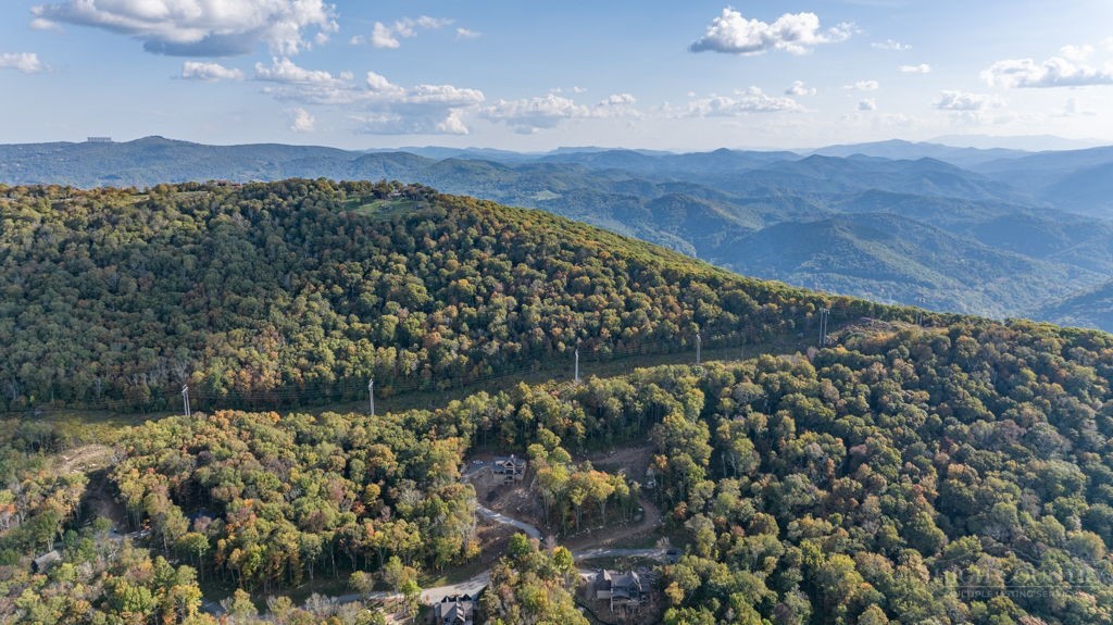 77 Red Robin Road Banner Elk, NC 28604 - Photo 11 of 29 Gallery Image 11