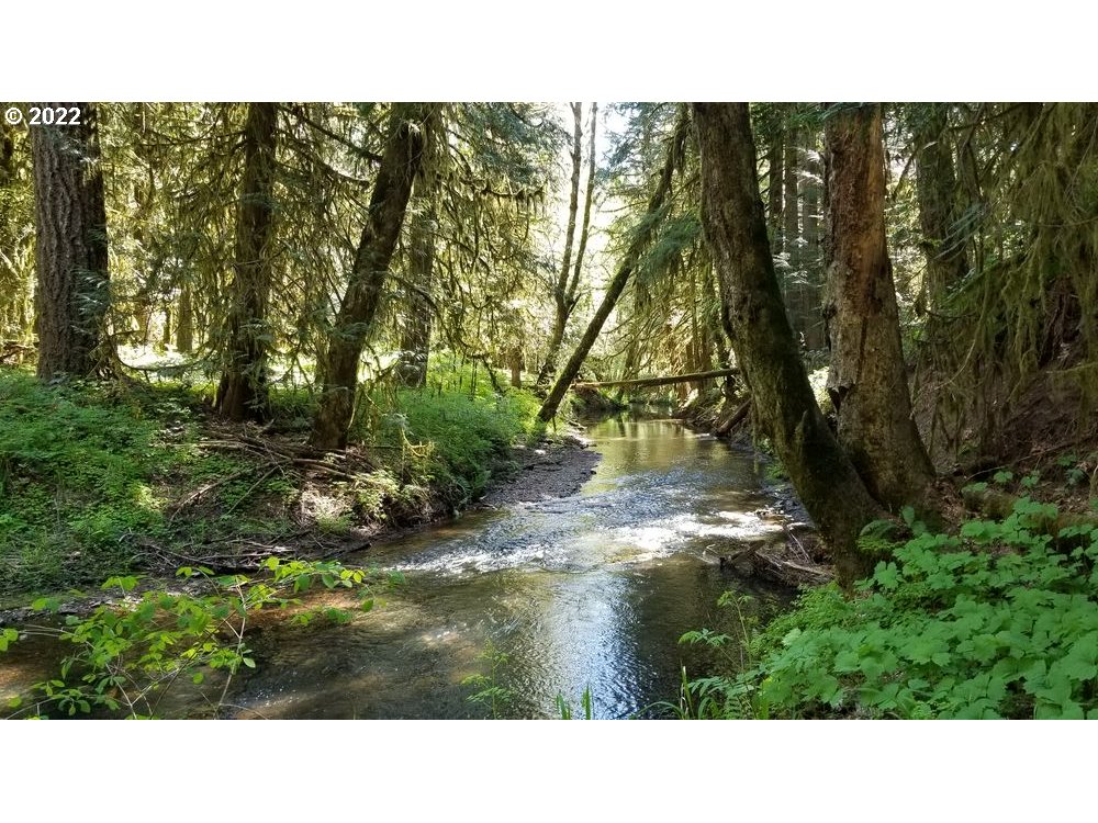 18176 Northwest Timber Road Gales Creek, OR 97117 - Photo 1 of 8 Gallery Image 1