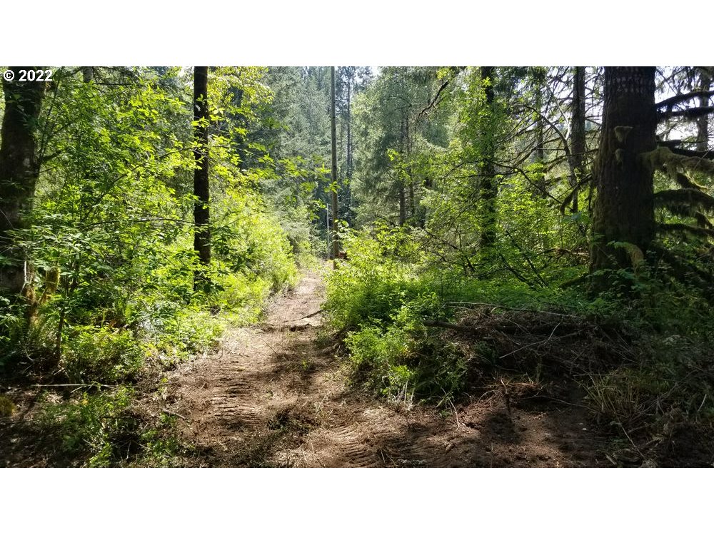 18176 Northwest Timber Road Gales Creek, OR 97117 - Photo 3 of 8 Gallery Image 3