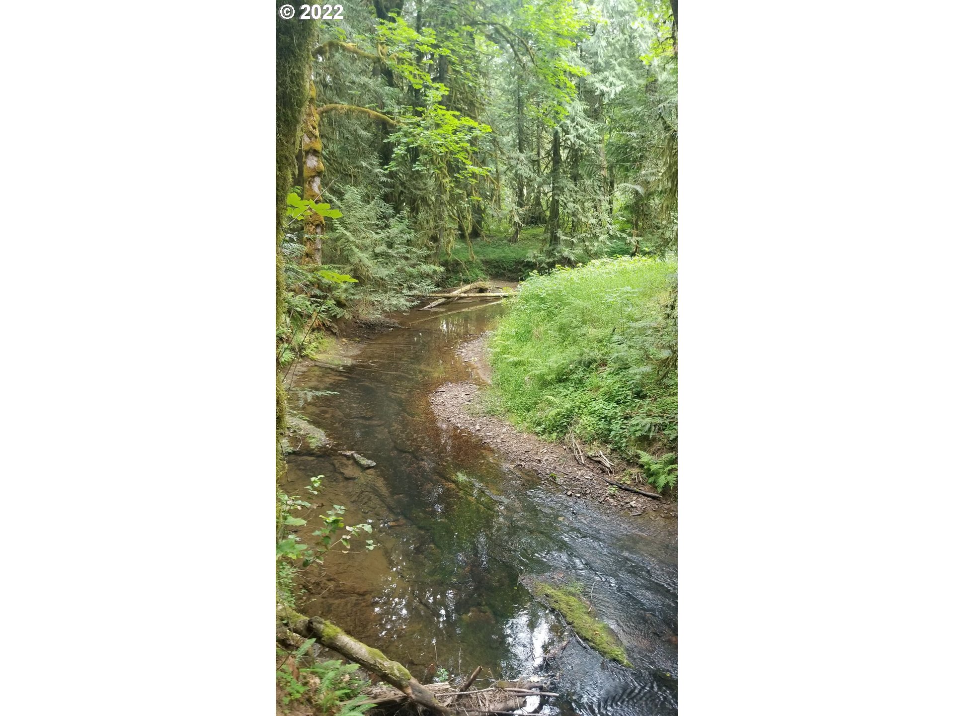 18176 Northwest Timber Road Gales Creek, OR 97117 - Photo 4 of 8 Gallery Image 4