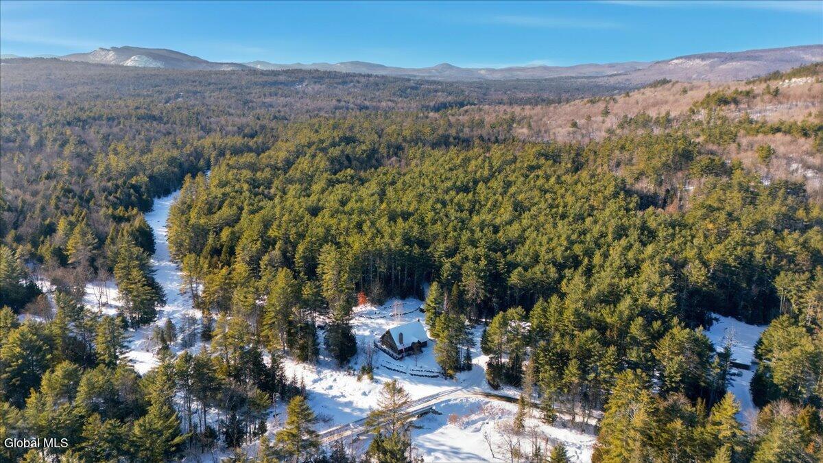 111 Alder Brook Road Chester, NY 12860 - Photo 4 of 37 04-DJI_20260208150051_0086_D