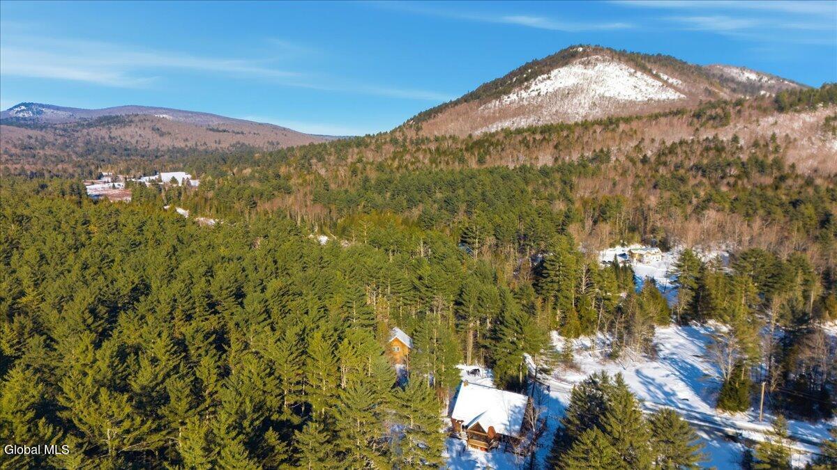 111 Alder Brook Road Chester, NY 12860 - Photo 6 of 37 06-DJI_20260208150315_0104_D