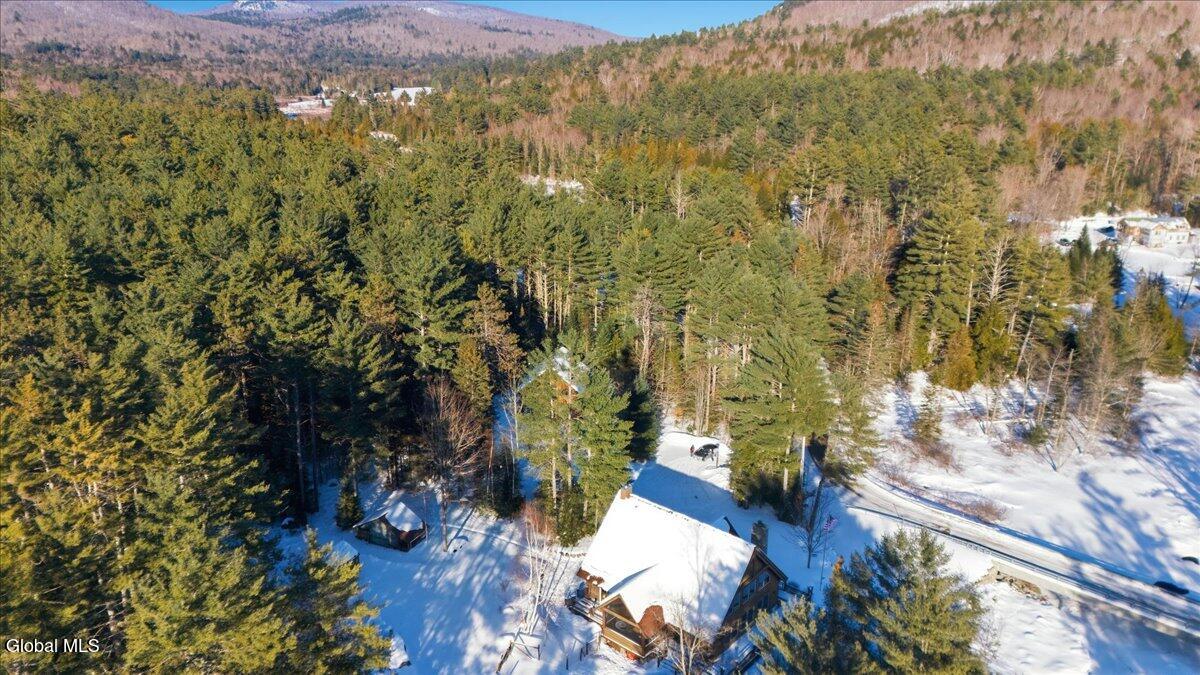 111 Alder Brook Road Chester, NY 12860 - Photo 7 of 37 07-DJI_20260208150326_0107_D