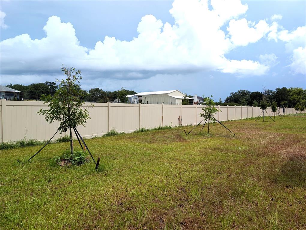 10171 Boger Rnch Court Wesley Chapel, FL 33545 - Photo 25 of 28