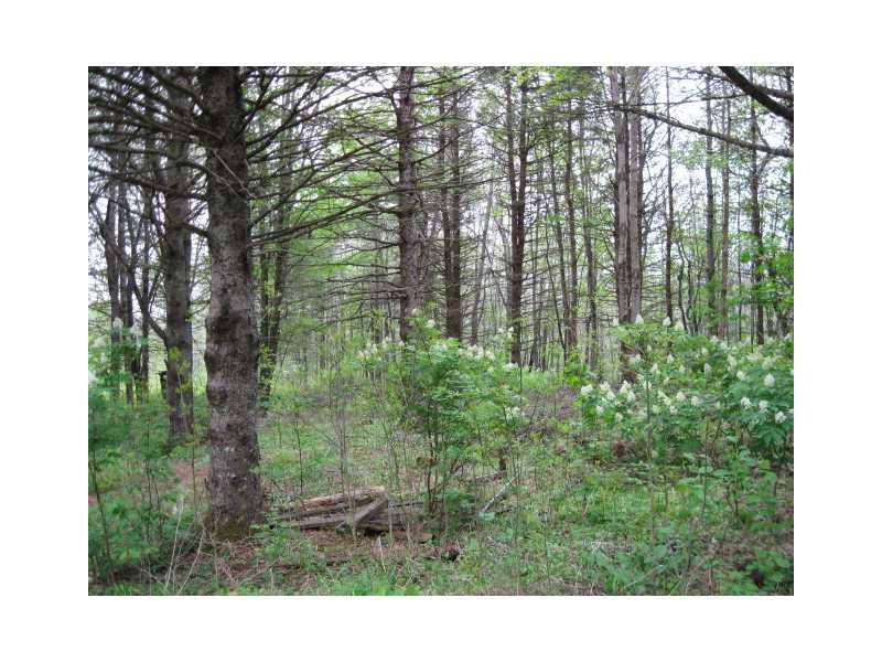 39 Merrill Road Stetson, ME 04488 - Photo 13 of 13 Land.