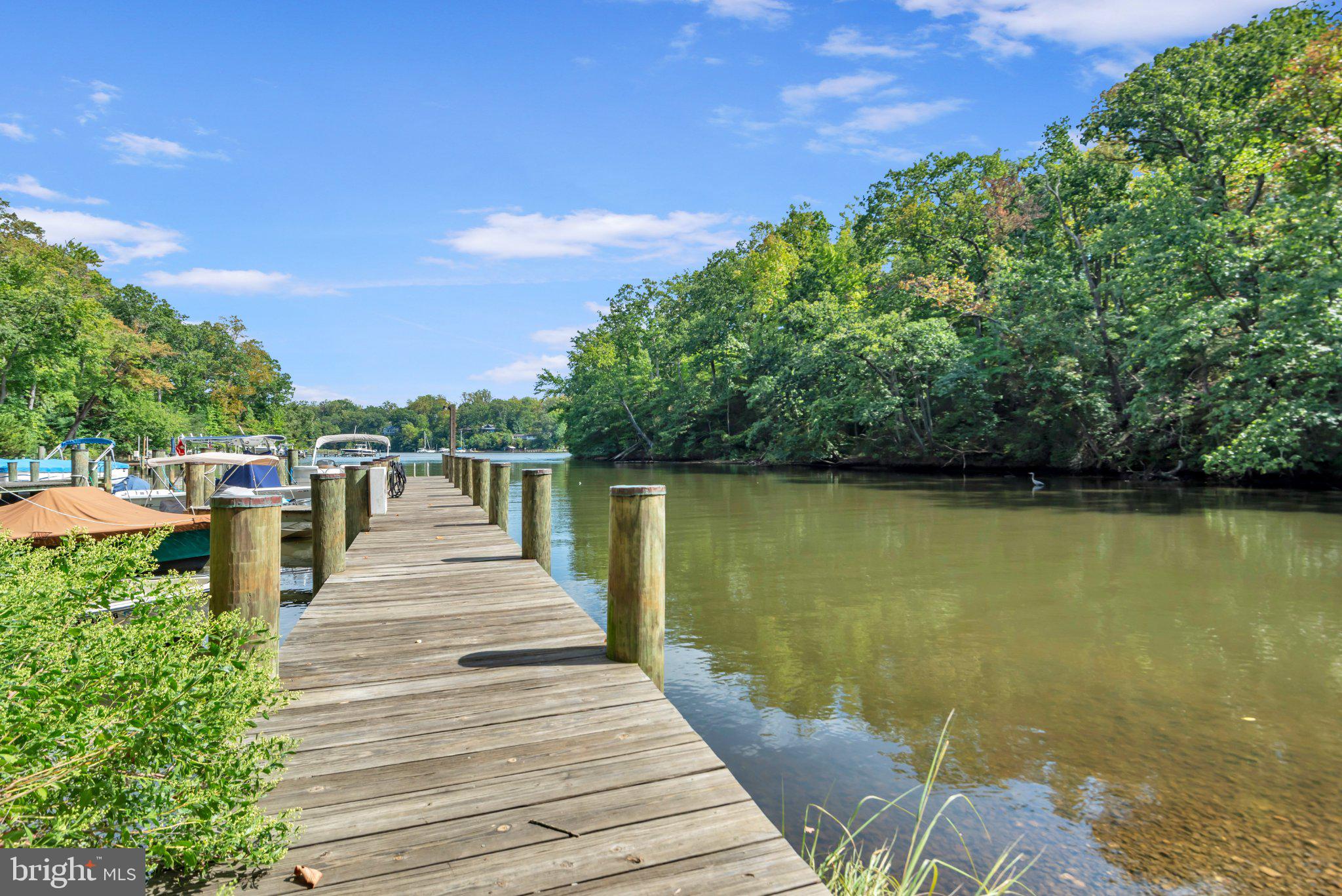 527 Forest Road Riva, MD 21140 - Photo 91 of 100 Community Pier
