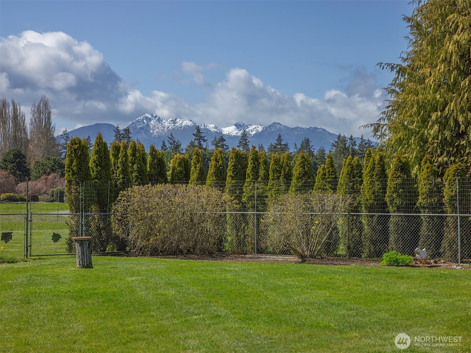 1110 Cameron Road Sequim, WA 98382 - Photo 35 of 39