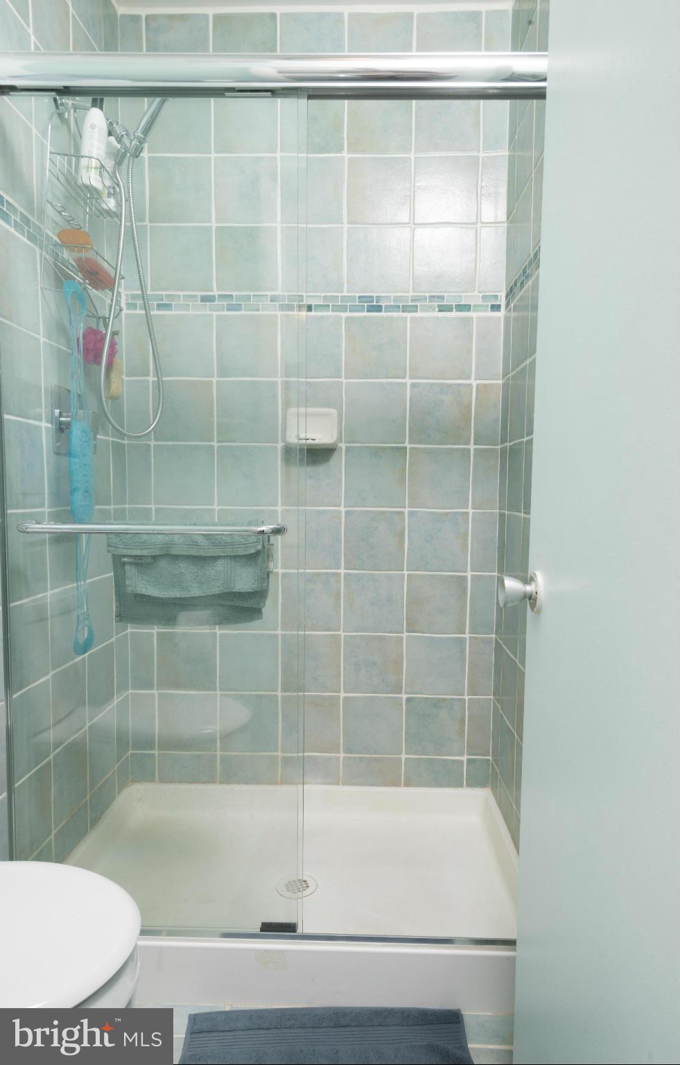 5 Hamill Road, Unit 5C Baltimore, MD 21210 - Photo 18 of 24 a bathroom with a bathtub and a shower