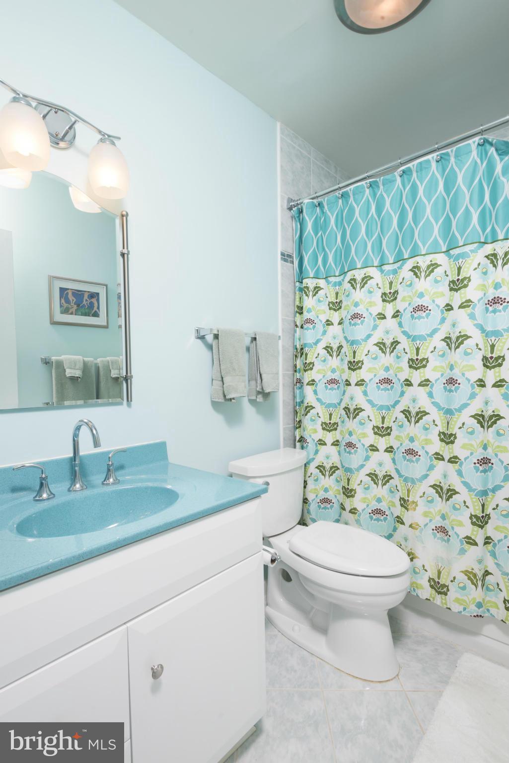 5 Hamill Road, Unit 5C Baltimore, MD 21210 - Photo 20 of 24 a bathroom with a granite countertop toilet a sink a mirror and shower curtain