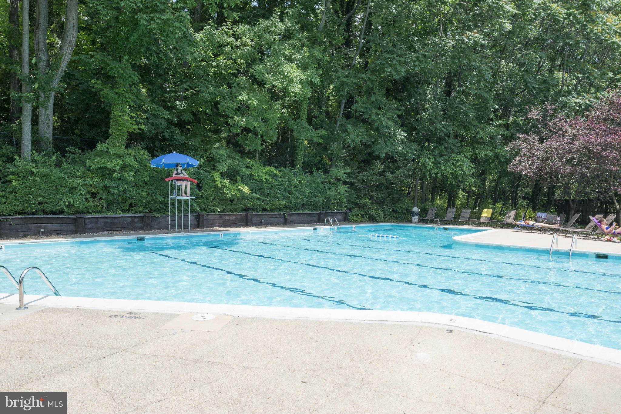 5 Hamill Road, Unit 5C Baltimore, MD 21210 - Photo 24 of 24 a view of backyard space