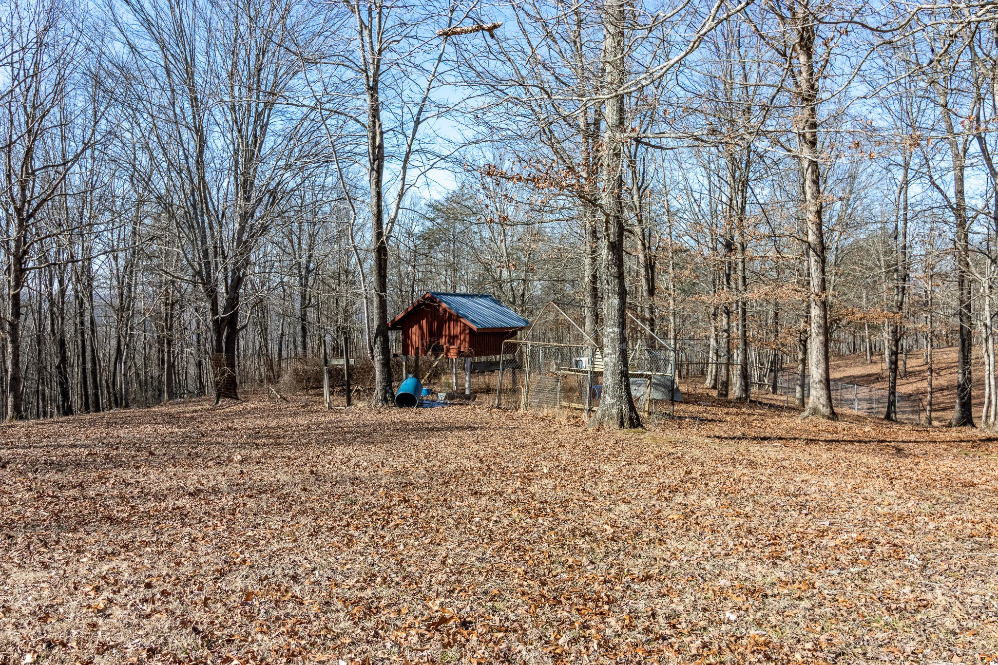 1844 Hobbstown Road Dunlap, TN 37327 - Photo 25 of 81 a wooden house with trees in front of it