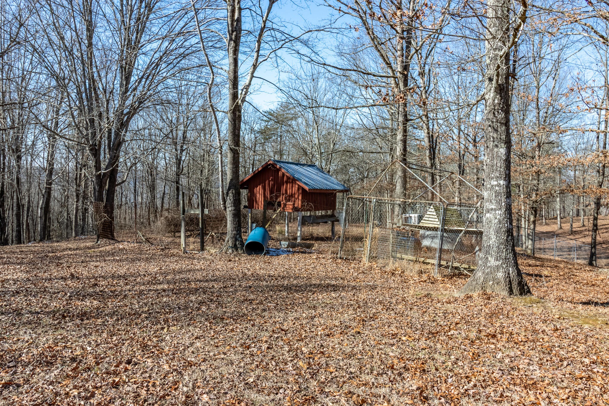 1844 Hobbstown Road Dunlap, TN 37327 - Photo 26 of 81