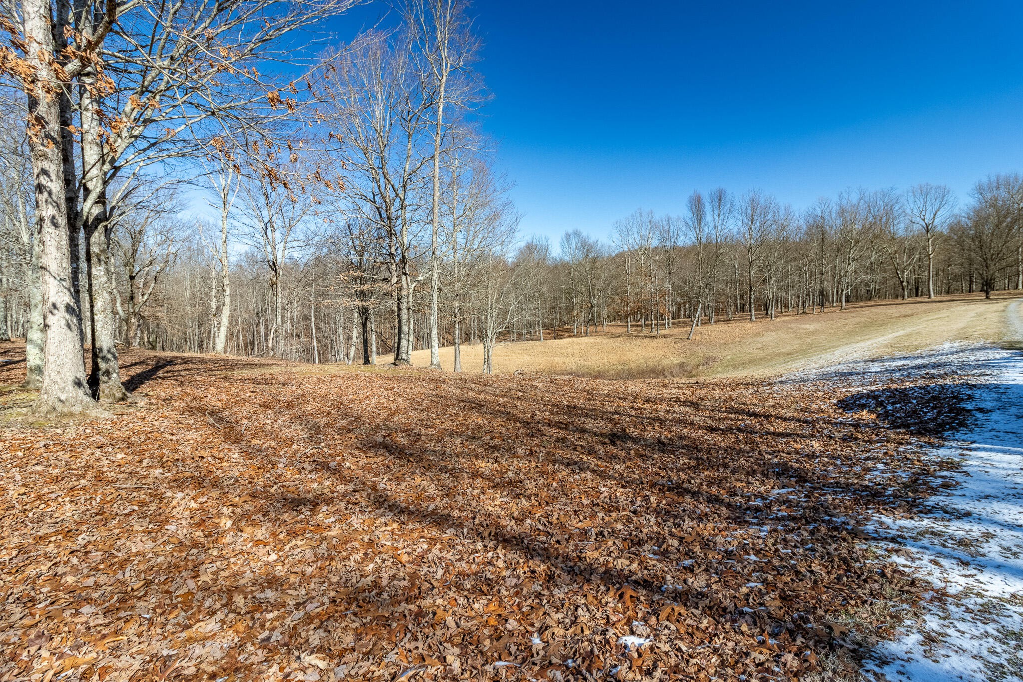 1844 Hobbstown Road Dunlap, TN 37327 - Photo 36 of 81 a view of outdoor space with mountain view
