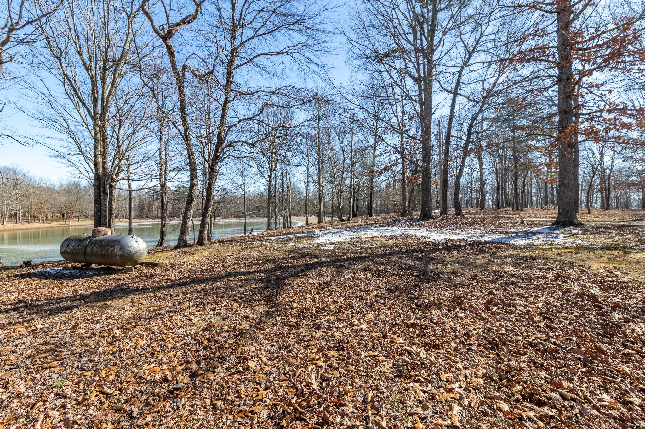 1844 Hobbstown Road Dunlap, TN 37327 - Photo 60 of 81 a backyard of a house with trees