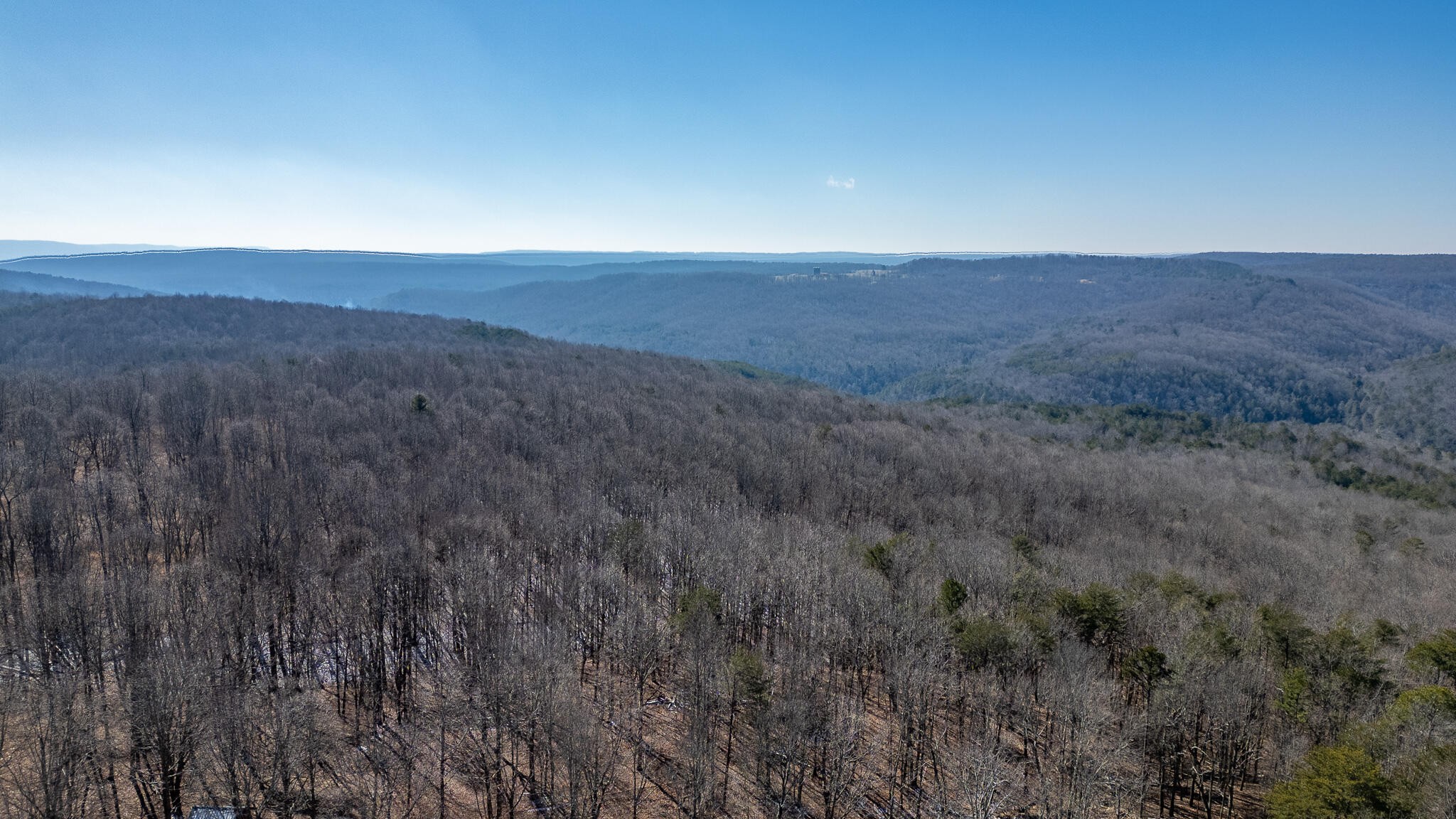 1844 Hobbstown Road Dunlap, TN 37327 - Photo 78 of 81